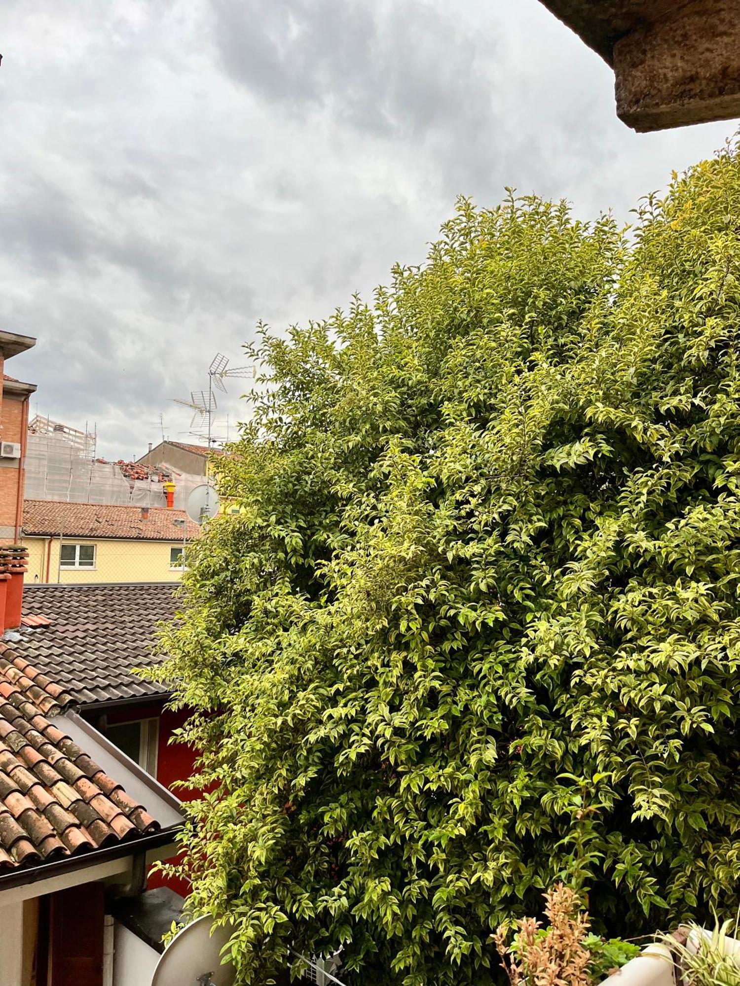 베로나 San Bernardino Monolocale Con Balcone 아파트 외부 사진